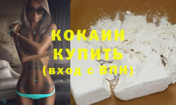 дживик Новодвинск