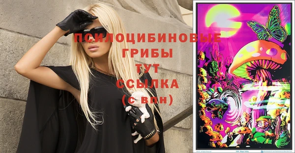 дживик Новодвинск