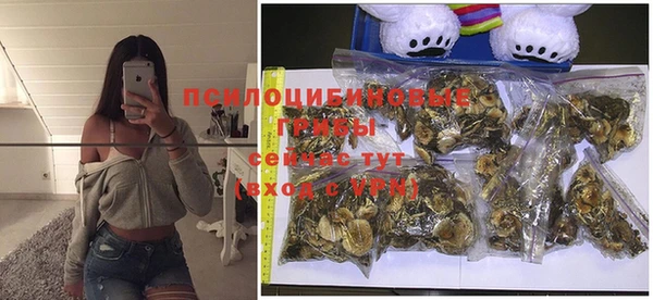 MDMA Premium VHQ Новозыбков