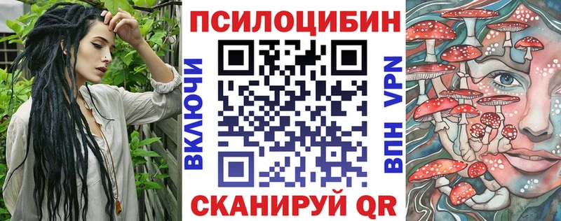 как найти закладки  Углегорск  Псилоцибиновые грибы Psilocybe 
